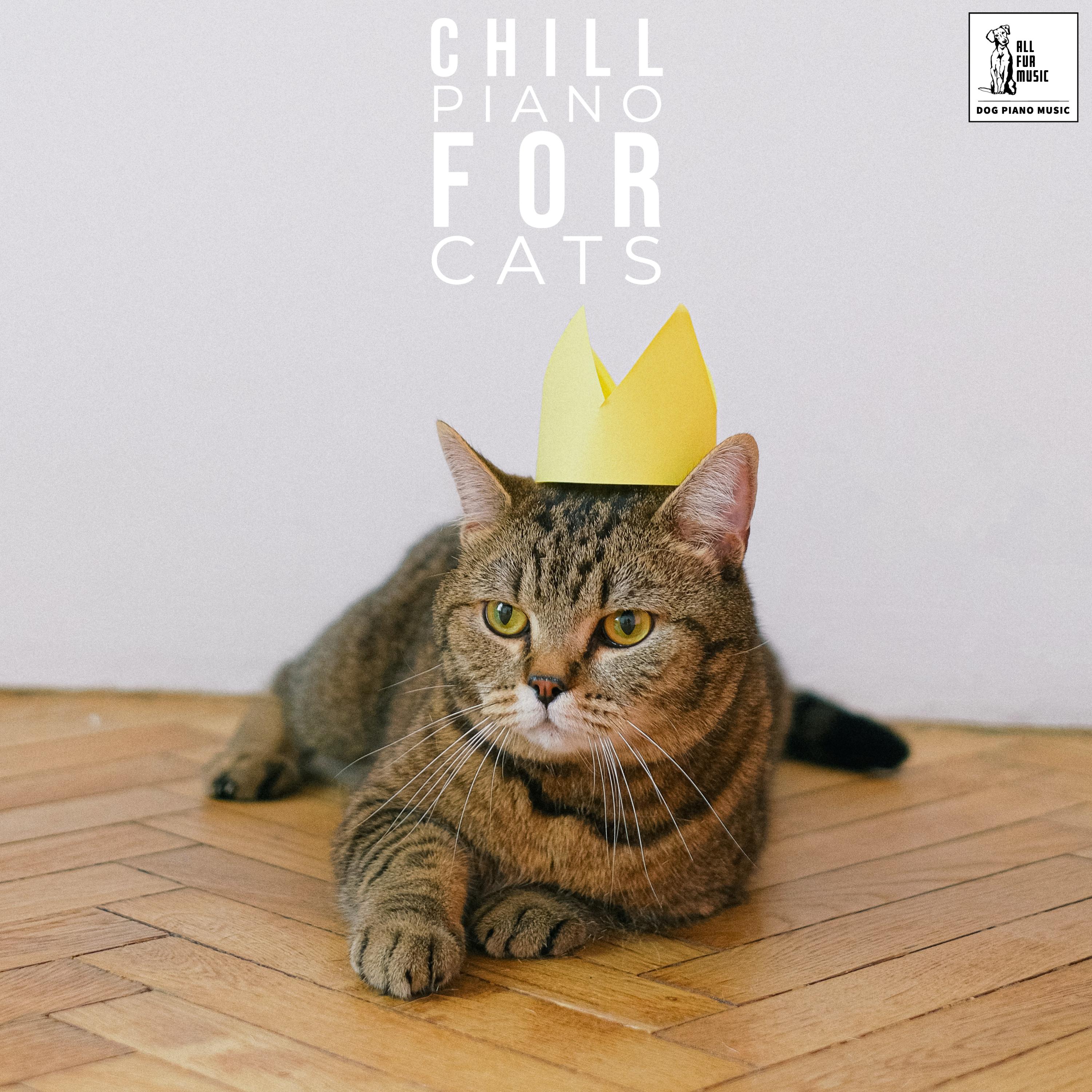 Chill Piano For Cats