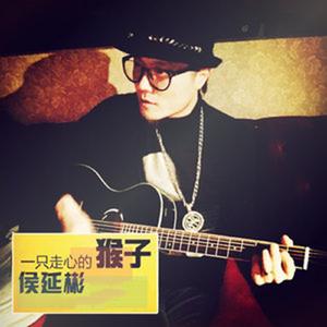 侯延彬 - 爱你发了疯