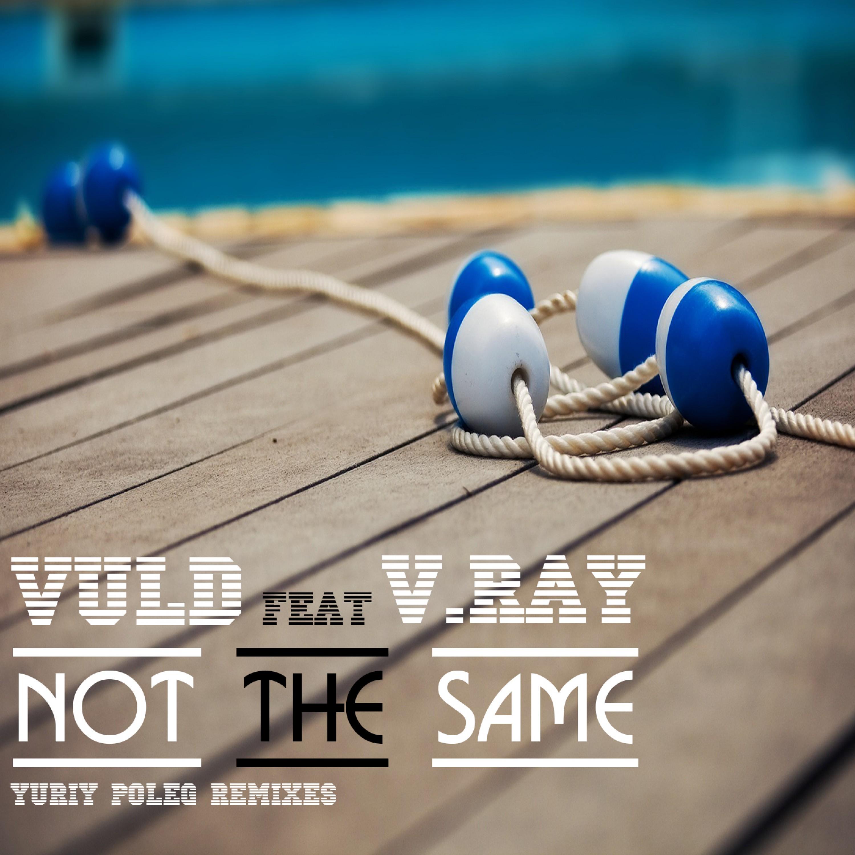 Not the Same (Yuriy Poleg Classic Mix)