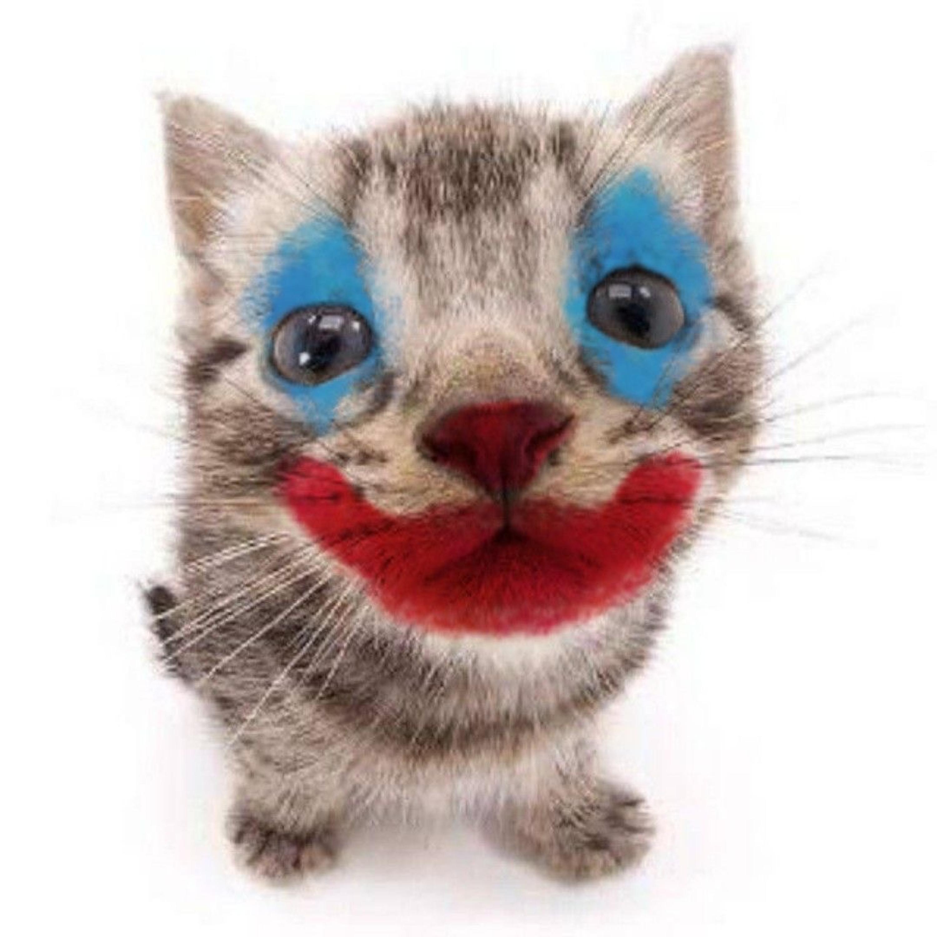 Clown小丑