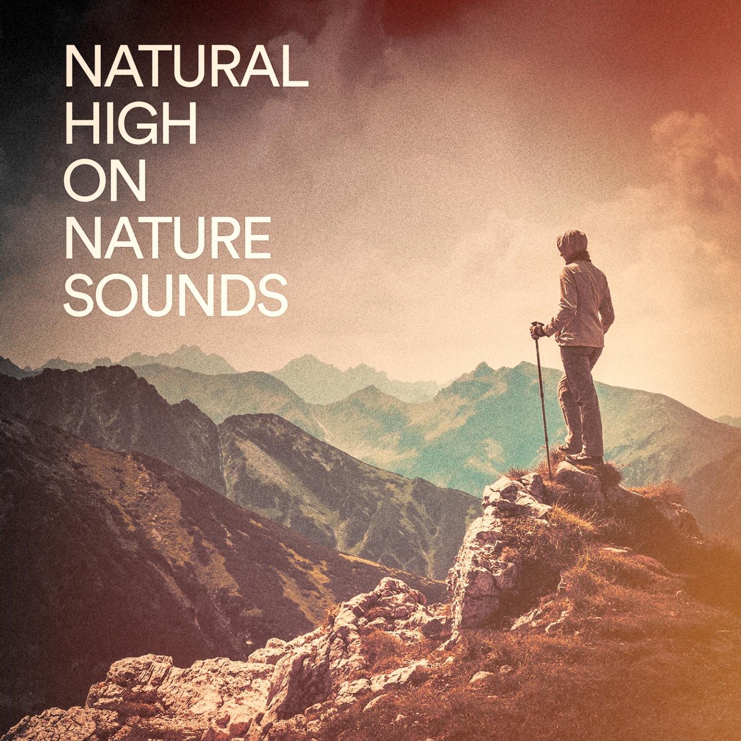 Natural High on Nature Sounds专辑