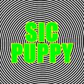 Sic Puppy