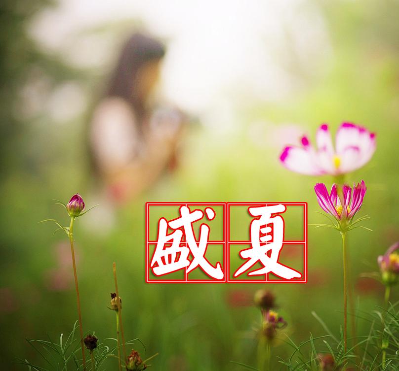 盛夏
