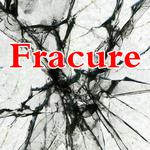 Fracture专辑