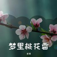 梦里桃花（梨花原唱）伴奏