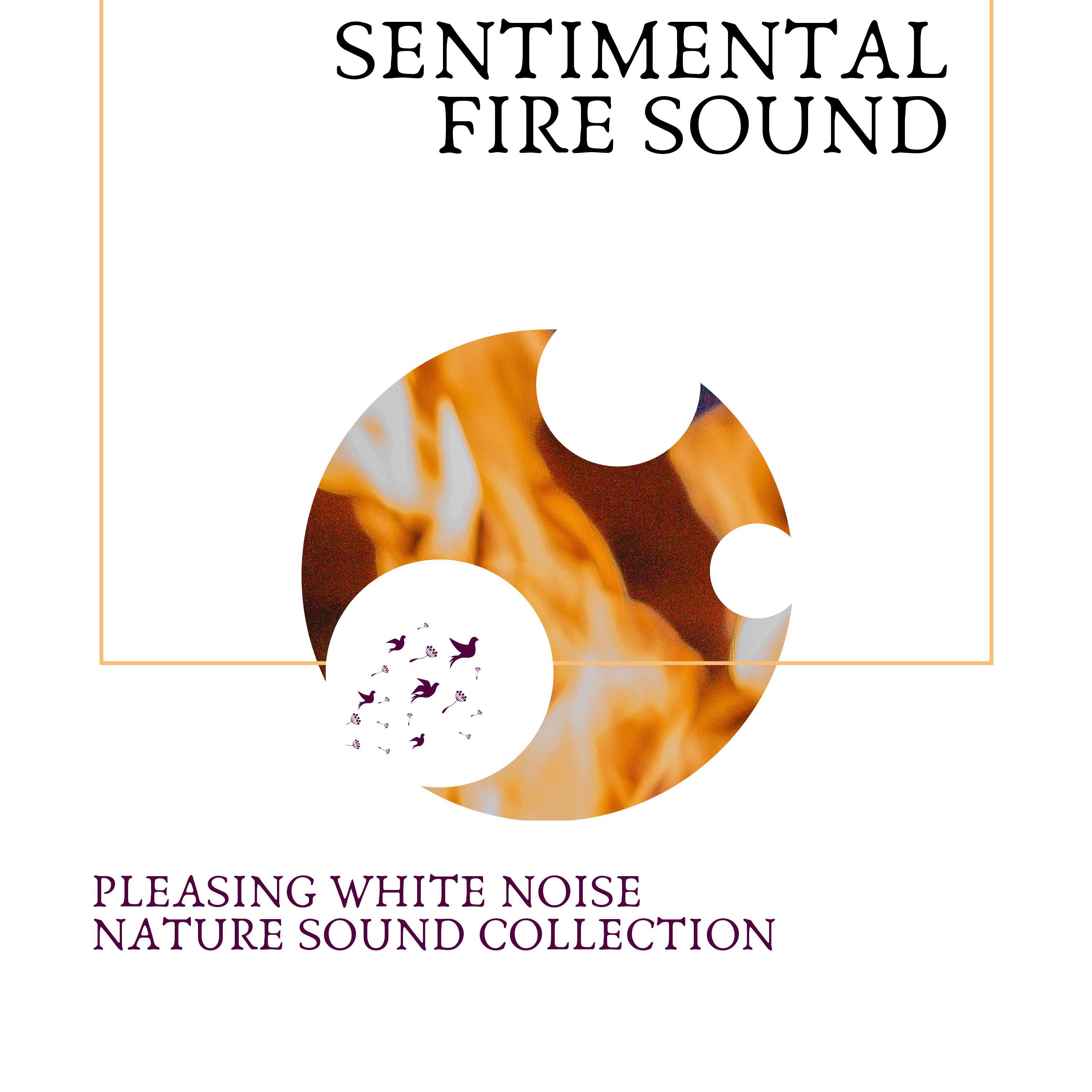 Bugsy Bubble White Noise Fire Sound - Restful Birds Sound