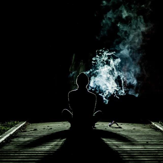 庇护所