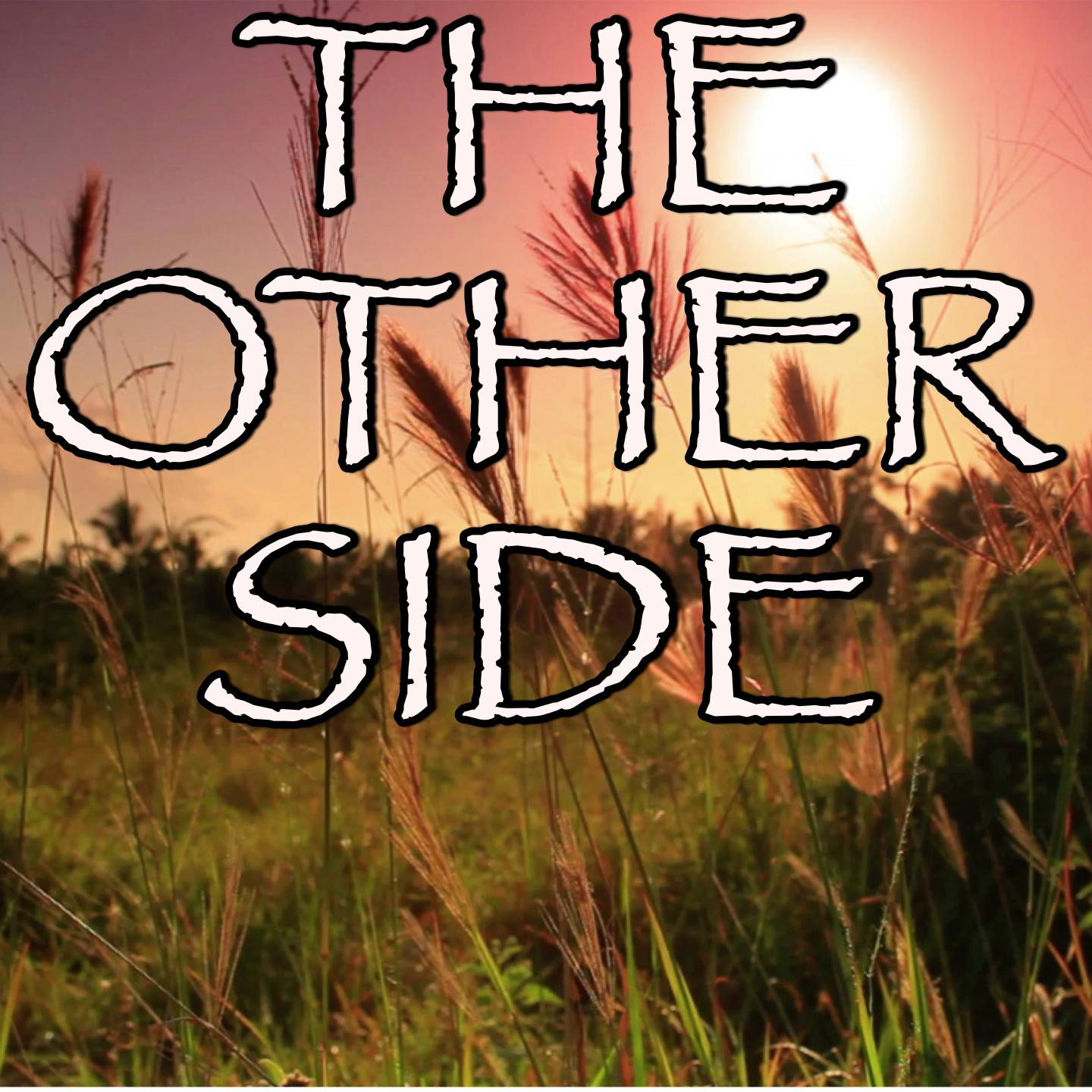 The Otherside (Other Side) - Tribute to Red Rising Sun专辑