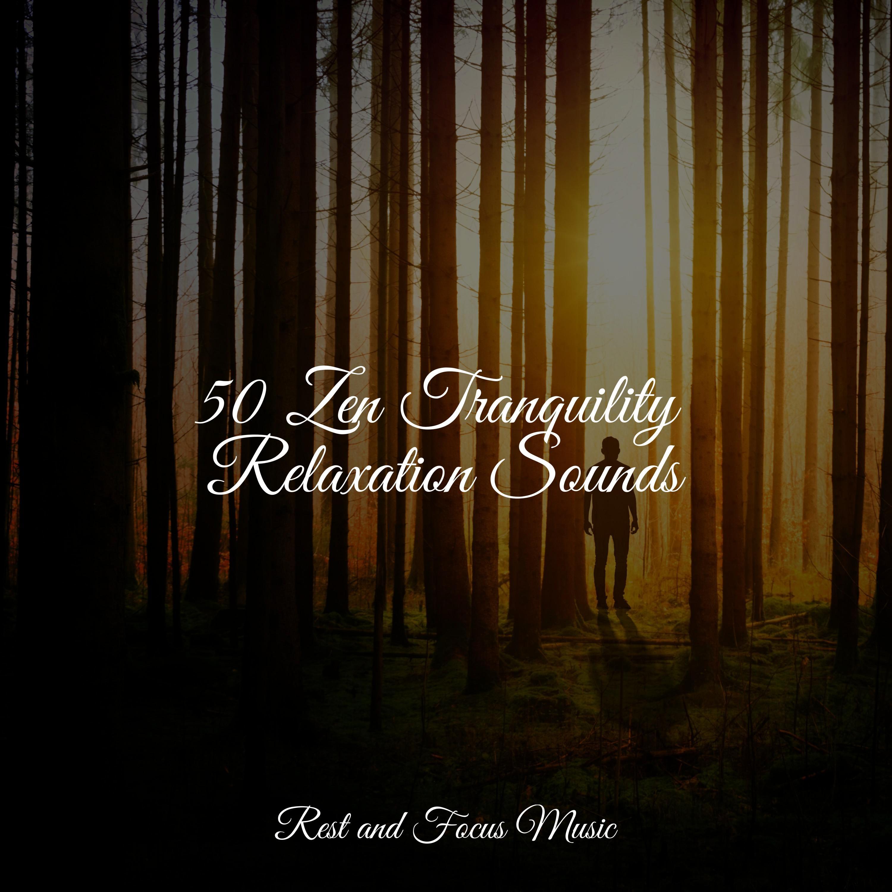 50 Zen Tranquility Relaxation Sounds