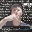 Calm Down专辑