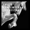 Epic & Contemporary Orchestra专辑