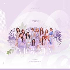 비올레타 (Violeta)（翻自 IZ*ONE）