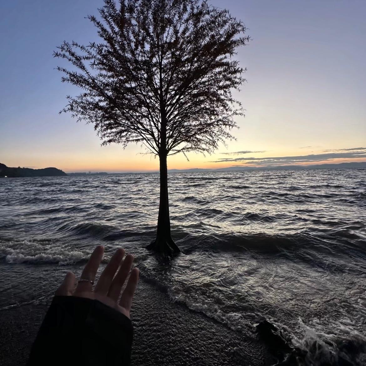 海的对岸
