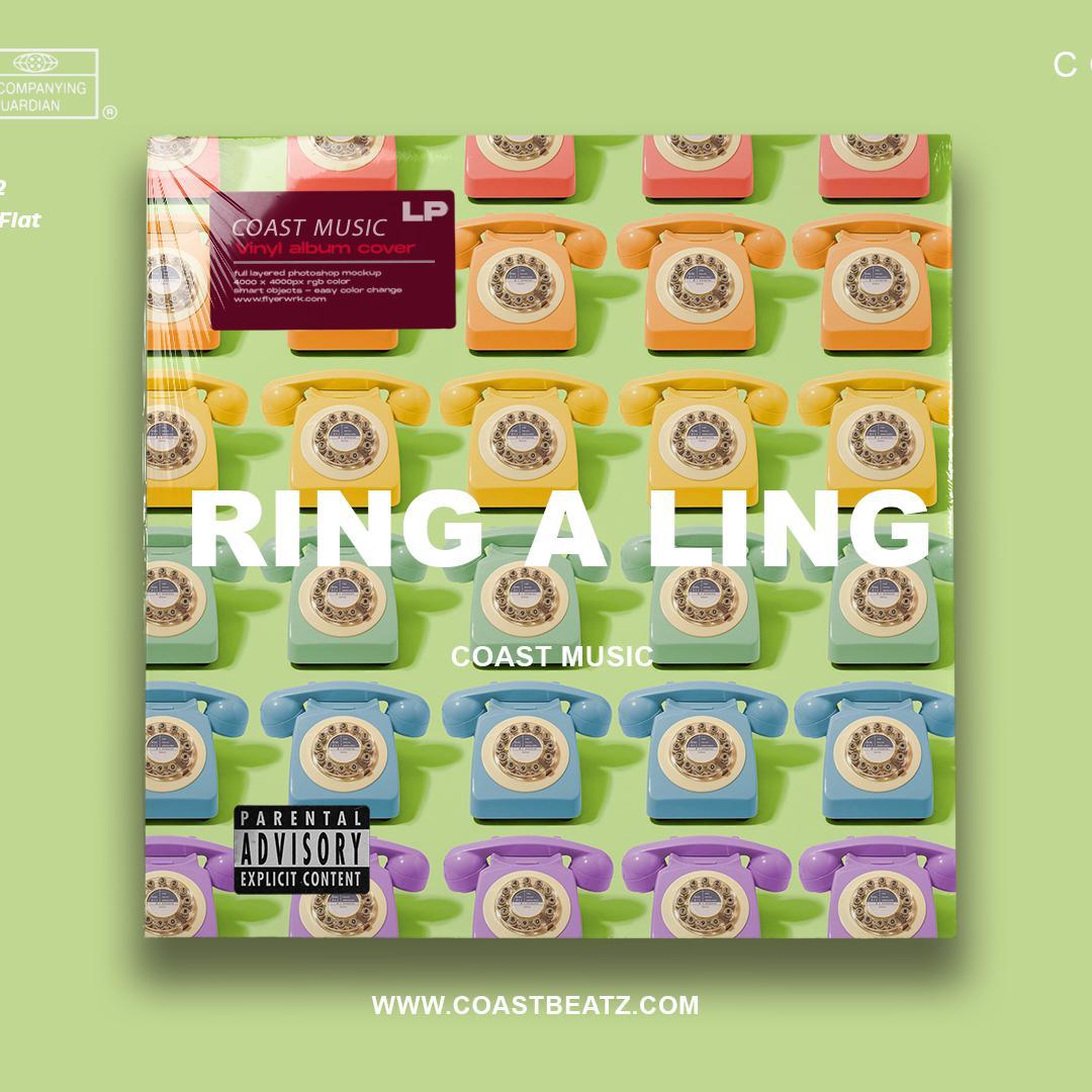R&B Guitar Type Beat "RING A LING"