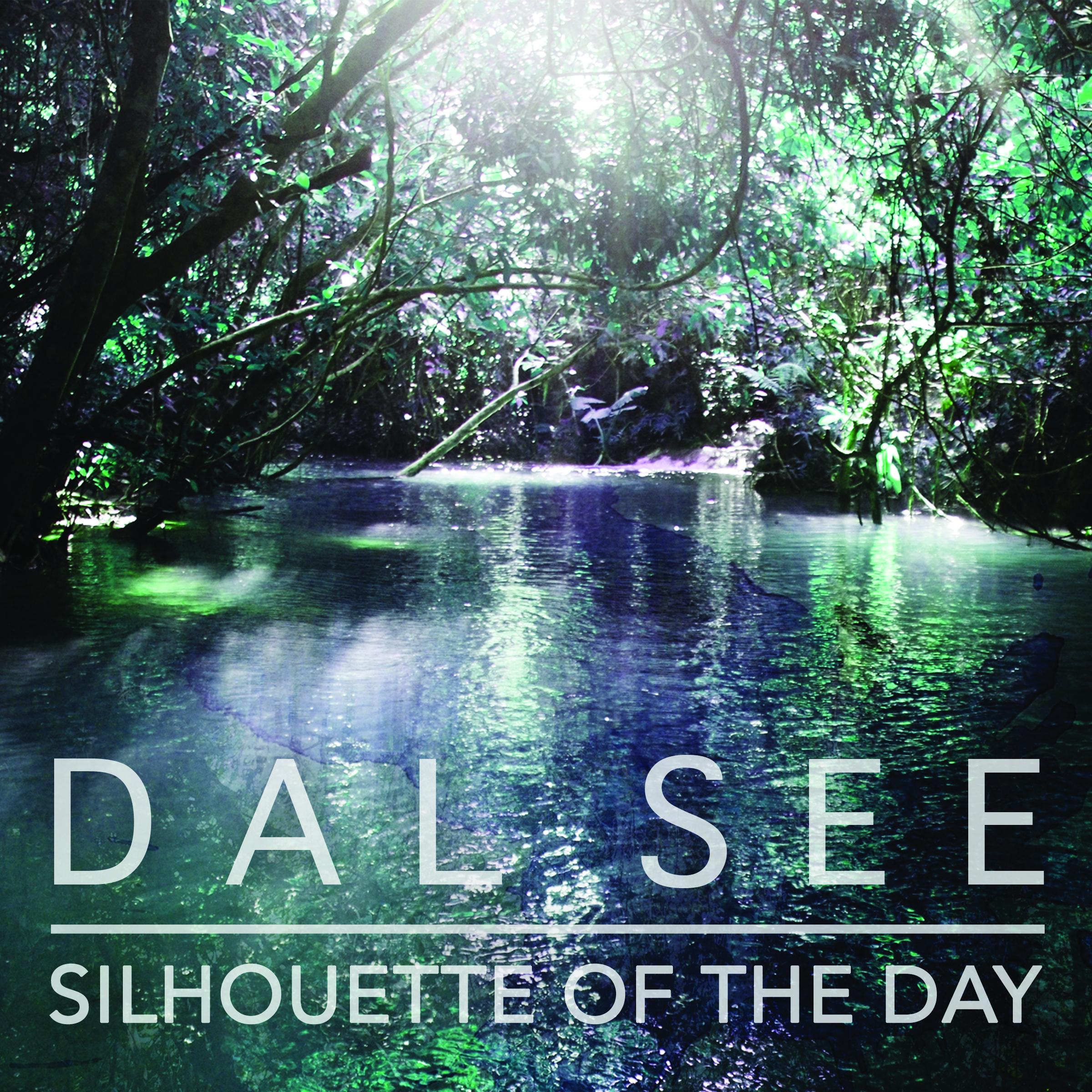 Silhouette Of The Day