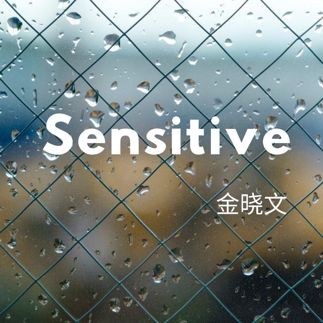 金晓文 - Sensitive