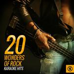 20 Wonders of Rock Karaoke Hits专辑