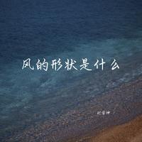 魏佳艺 - 吃黄连也要笑的年纪 (带伴唱) 伴奏