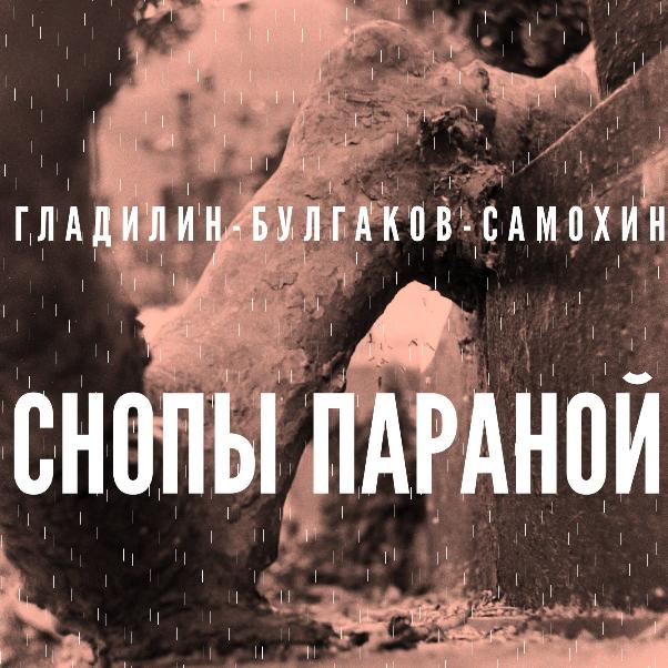 Снопы Параной