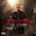 The Storm (Deluxe Edition)专辑