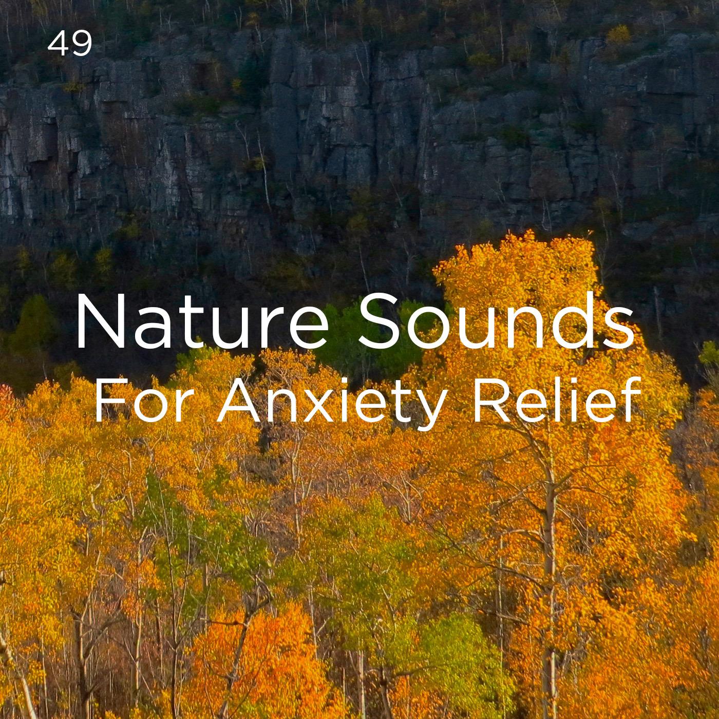 49 Nature Sounds For Anxiety Relief