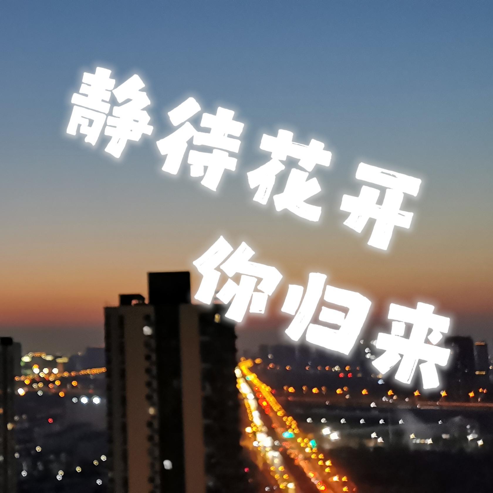 静待花开你归来