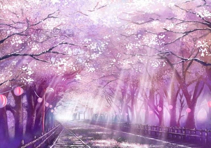 风逐桃花