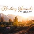 Healing Sounds Therapy – Relaxing Music, Peaceful Sounds of Nature, Rest, Relief Stress, New Age 201