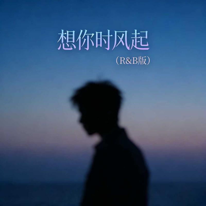 想你时风起 (R&B版)
