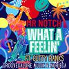 Mr.Notch - What A Feelin (feat. Cutty Ranks) (Radio Edit)