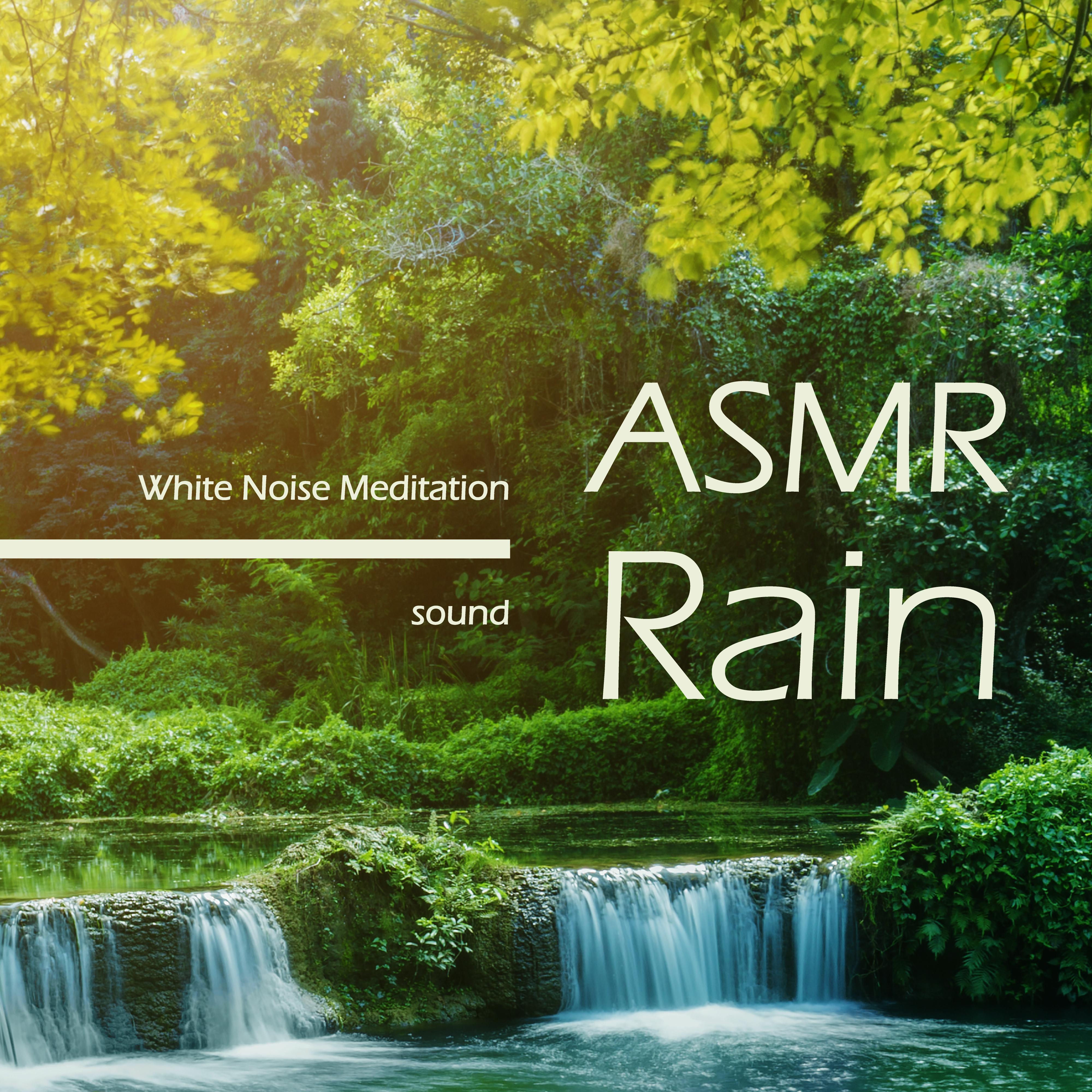 睡眠治愈之森 白噪音ASMR放松五感雨声