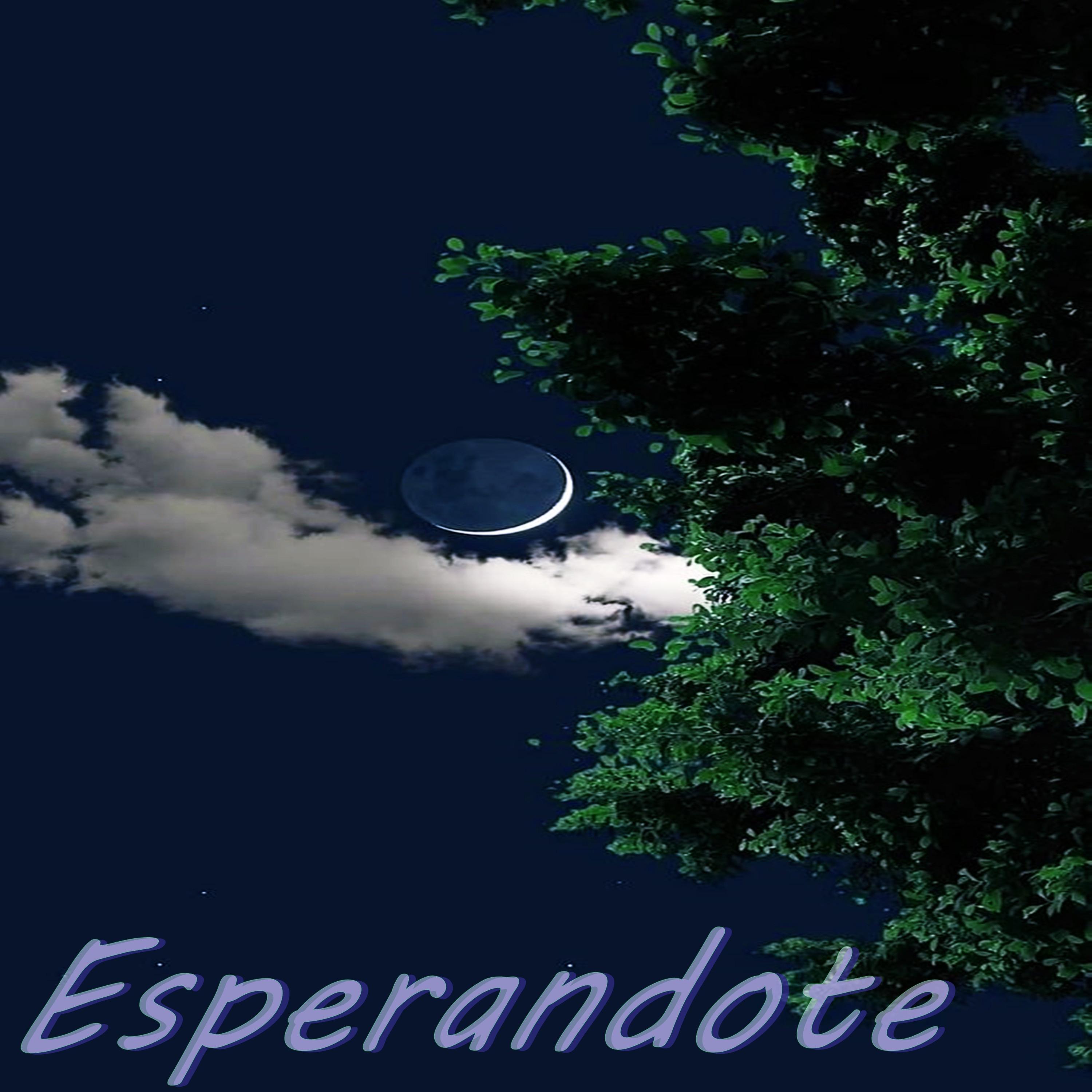 Esperandote