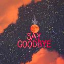 Say Goodbye