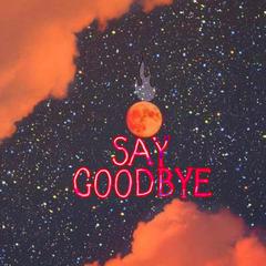 SayGoodbye