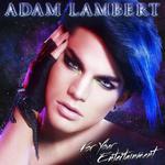 For Your Entertainment (Deluxe Version)专辑