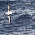 Mr.Albatross