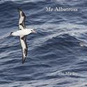 Mr.Albatross专辑