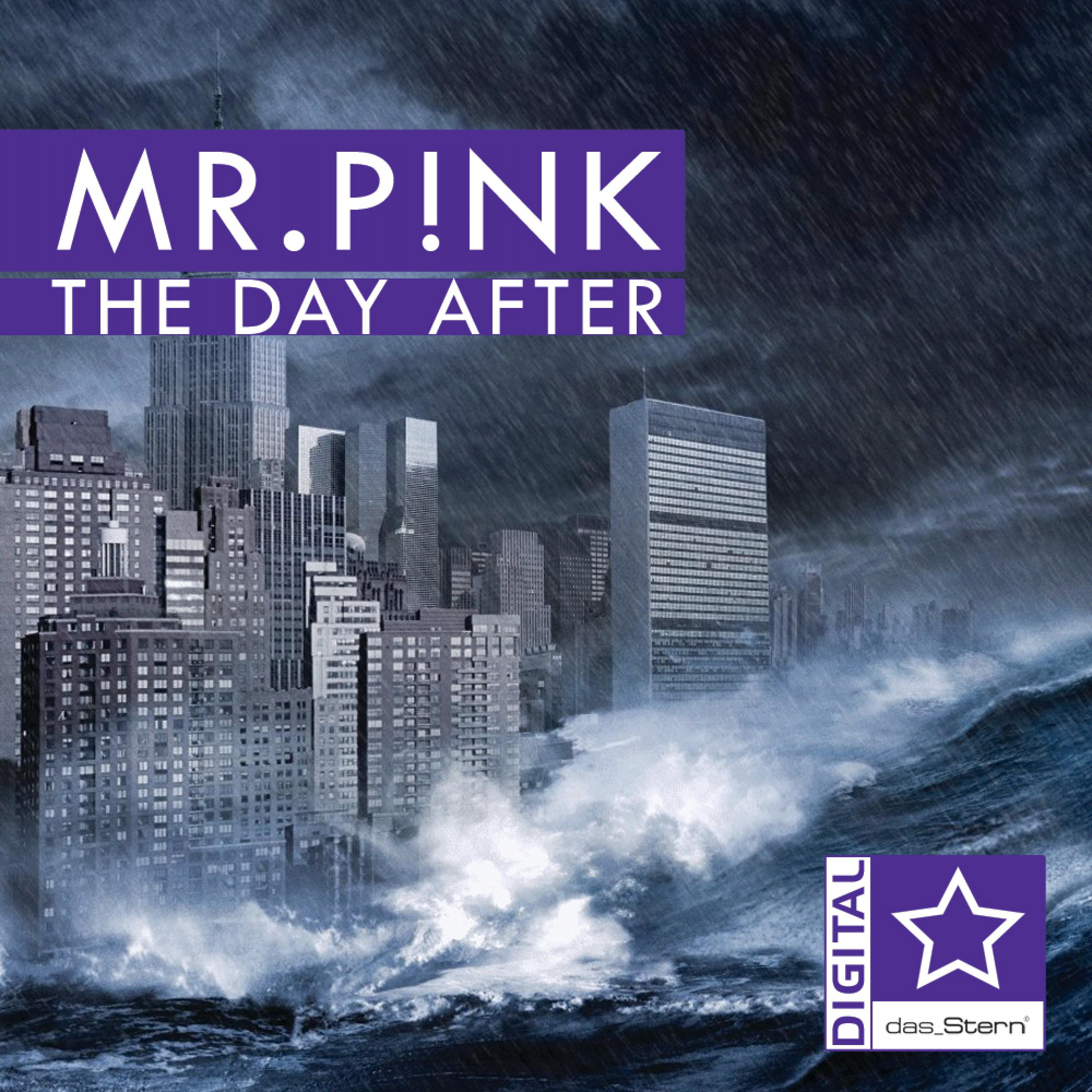 Mr.P!nk - The Day After (Pat Farrell Remix)