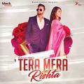 Tera Mera Rishta