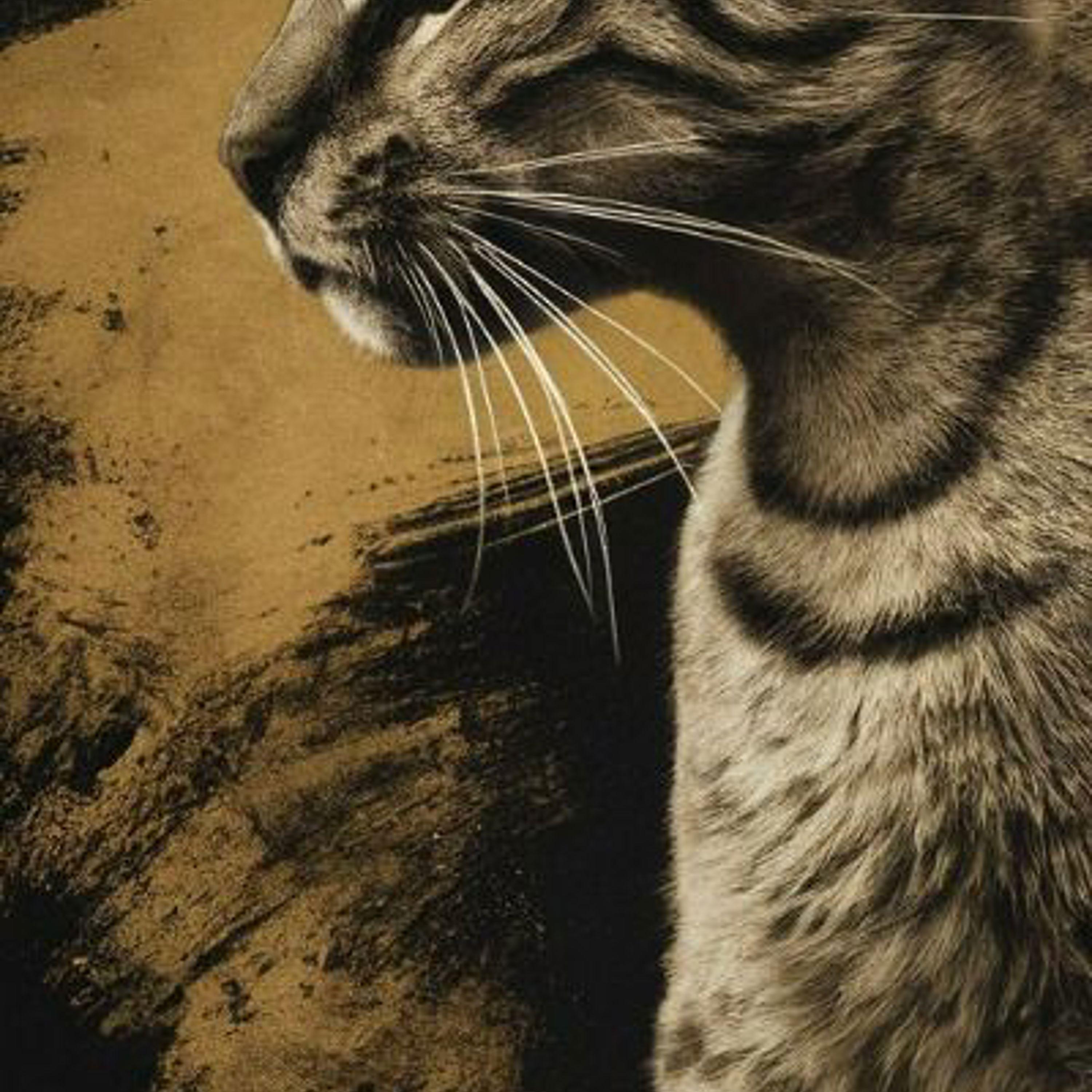 I Love You So (sped up)