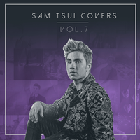 Sam Tsui - Say Something (消音版) 带和声伴奏