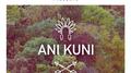 Ani Kuni (Remixes)专辑