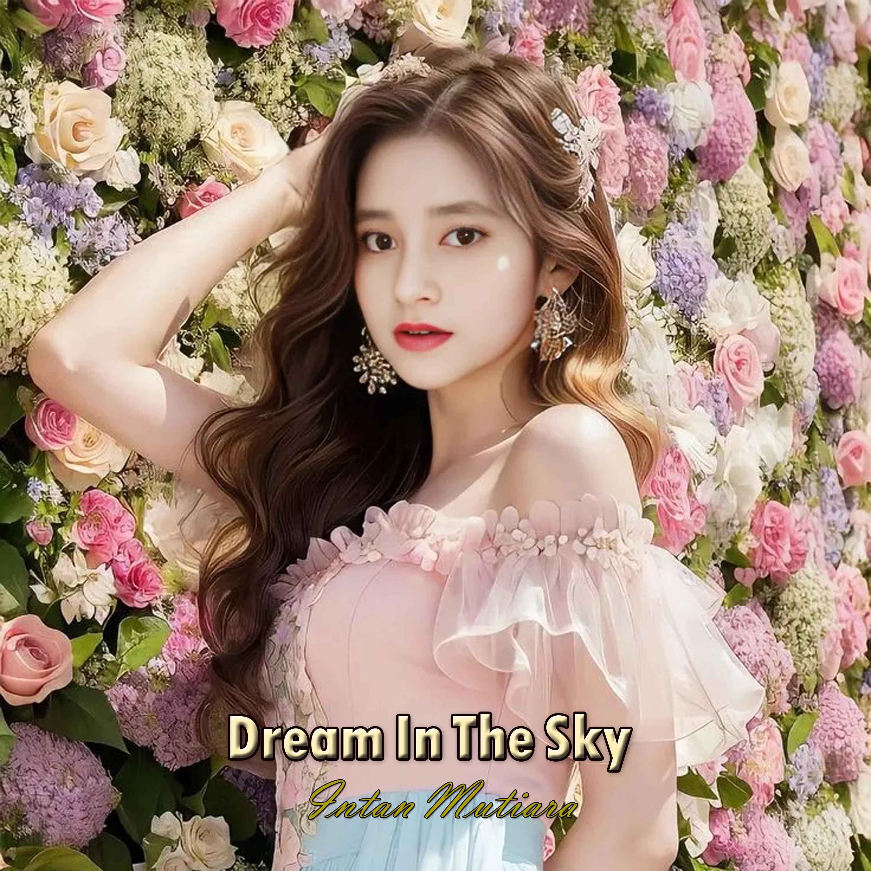 Dream in the Sky