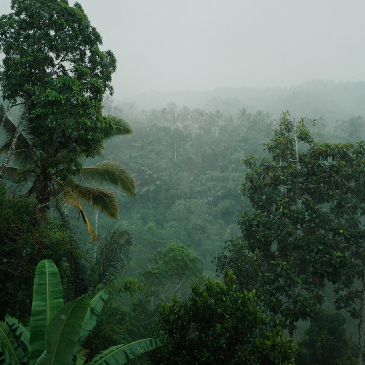 Rain Sound Recordings