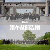 来不及的告别