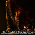 A Mind In Nature