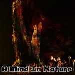 A Mind In Nature专辑