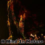 A Mind In Nature