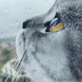 如果你听腻了一年以后再来