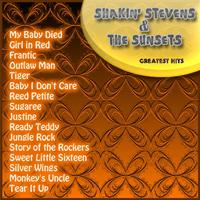 Jungle Rock - Shakin Stevens (karaoke)